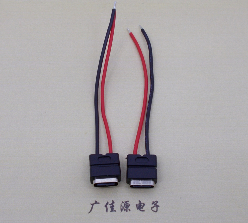 花都type c2p防水母座焊线式带线注塑成型带接线端子/不带接线端子充电连接器