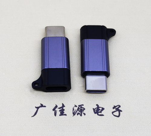 花都Type-C母转Type-C公 USB3.1 PD100W快冲接口